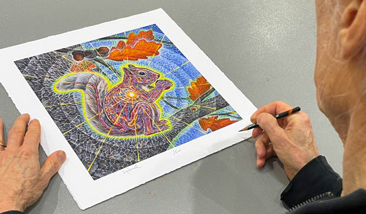 NEW Fine Art Print 🐿 Squirrel by Alex Grey