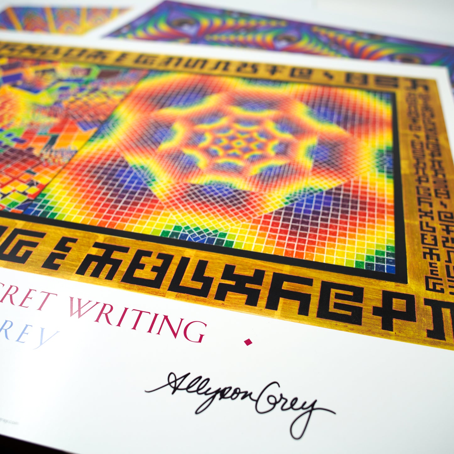 Chaos, Order & Secret Writing - Signed Poster