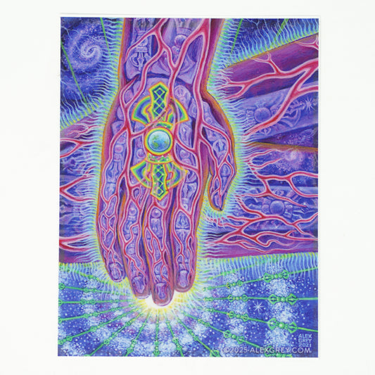 Earth Witness - Sticker