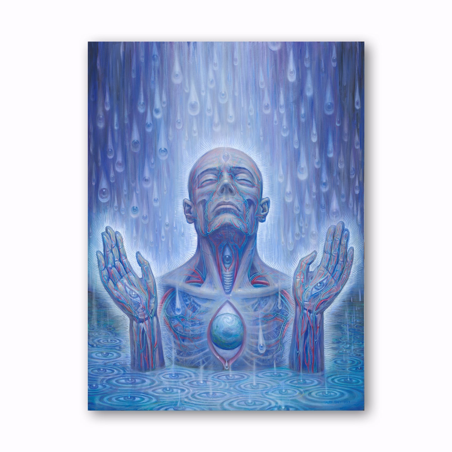 Baptism in the Ocean of Awareness - Canvas Print