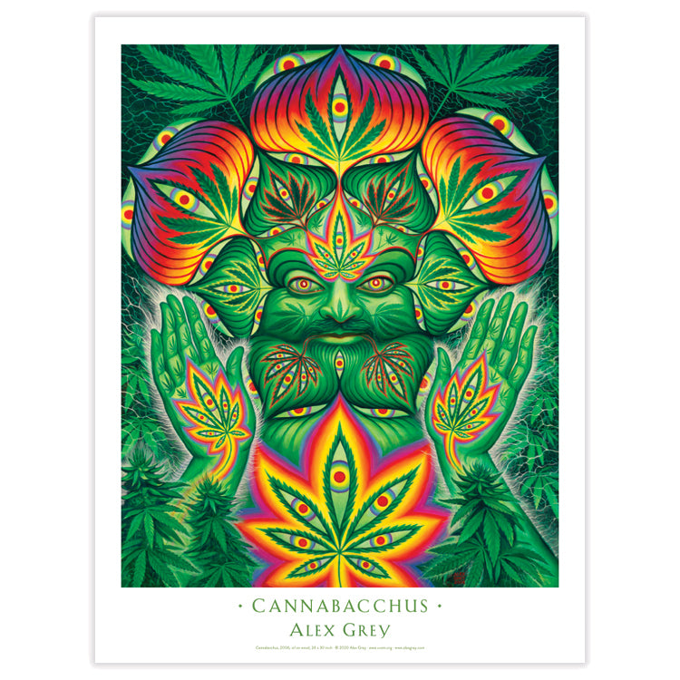 Cannabacchus - Poster – CoSM Shop