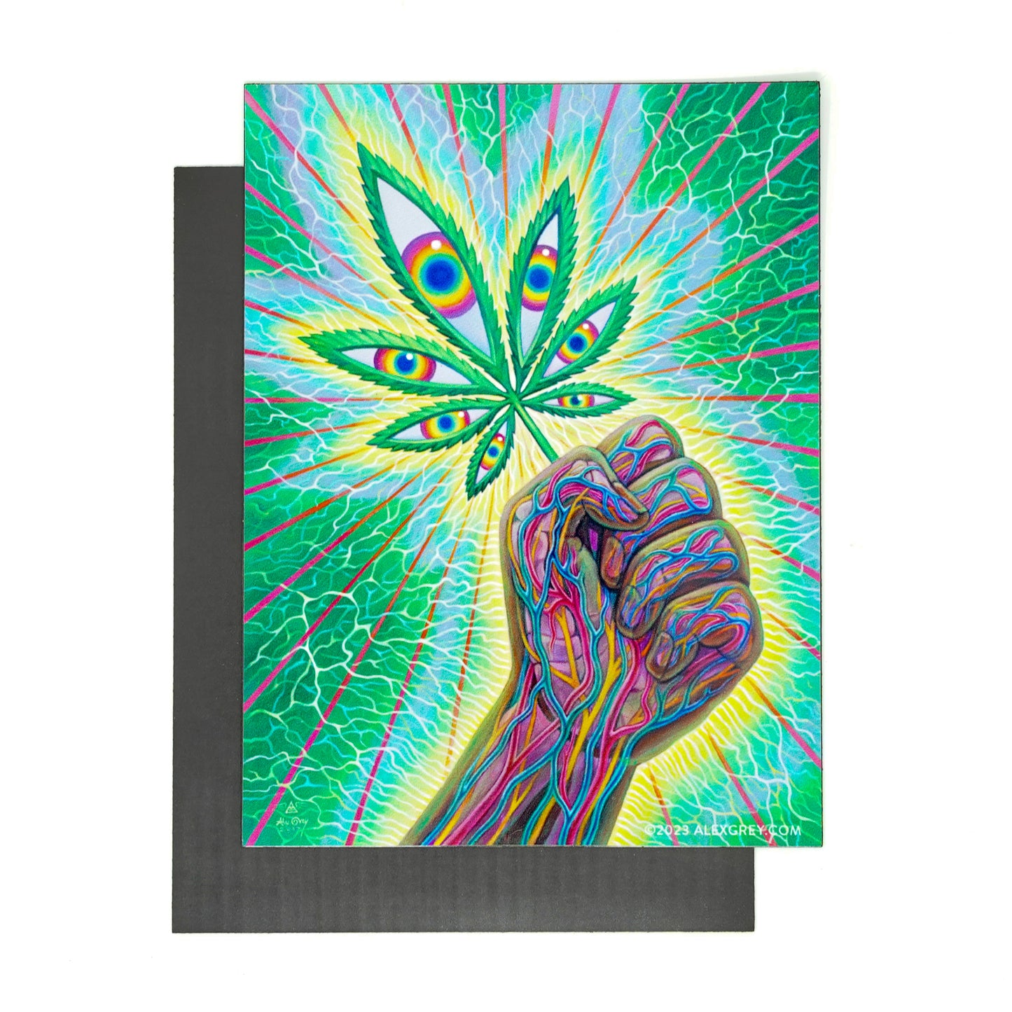 Cannafist - Magnet