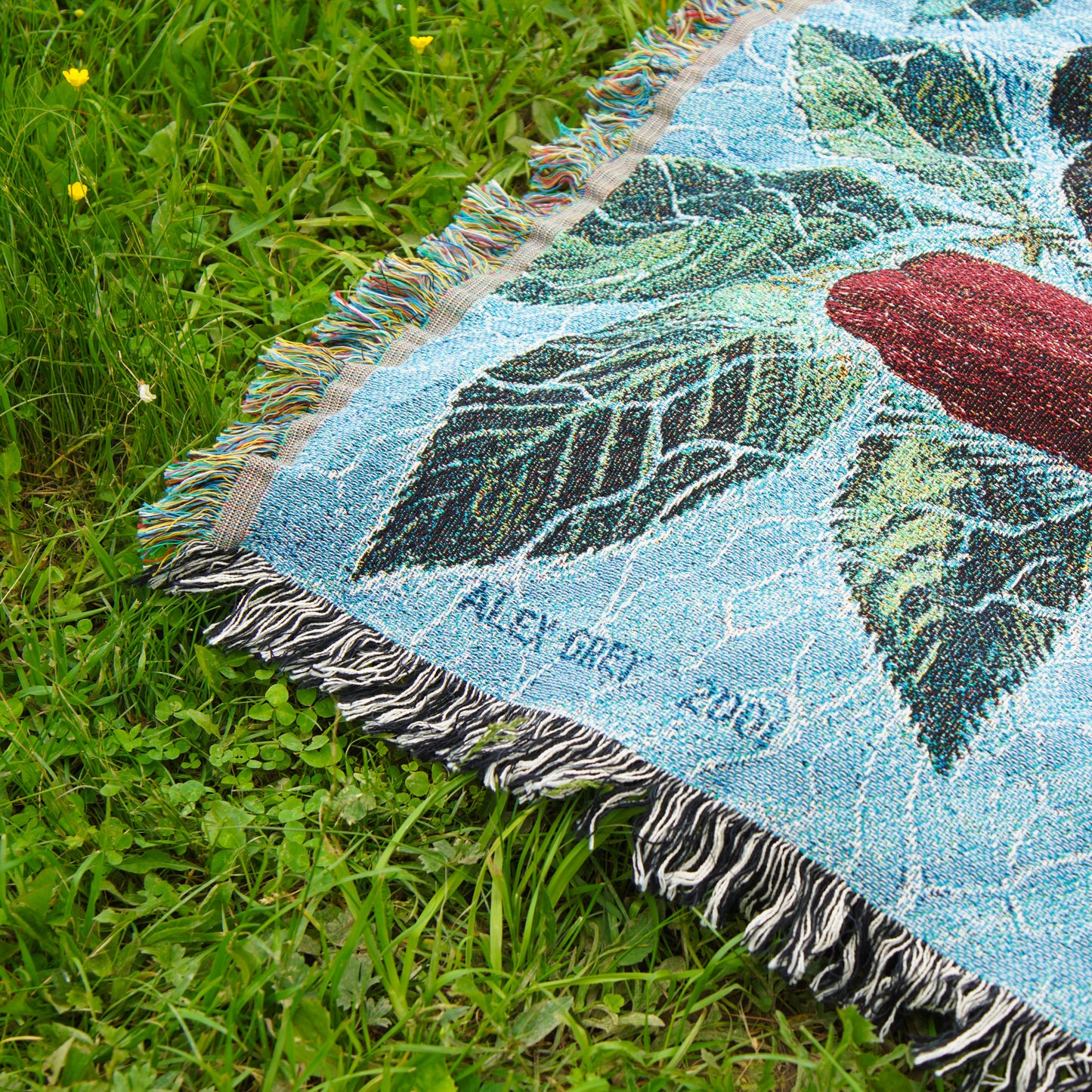 Ohio Song - Art Blanket