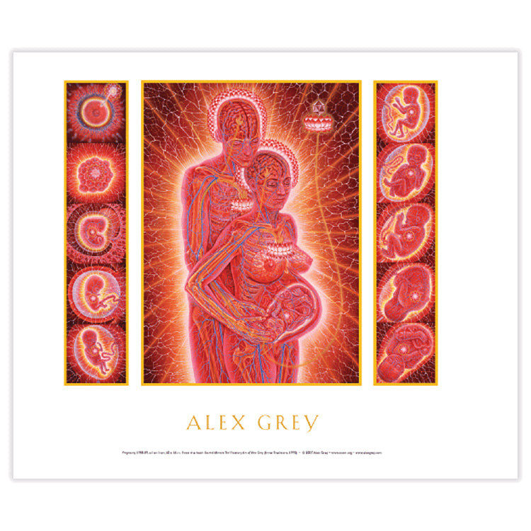 Pregnancy - Mini Poster – CoSM Shop