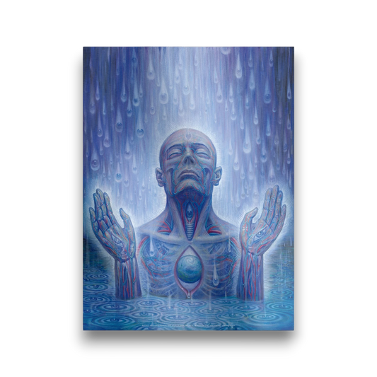 CoSM Shop Baptism in the Ocean of Awareness Alex Grey poster, depicting a man in water with eyes raining down.