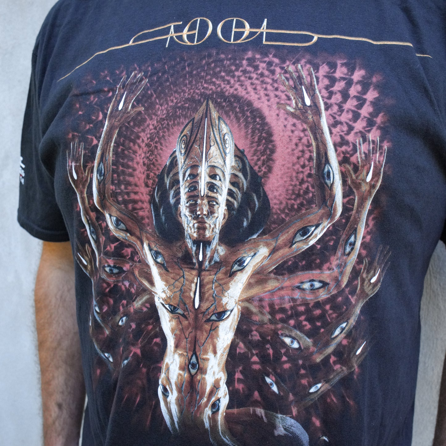 Fear Inoculum : TOOL 2022 Tour - Mens Black Short Sleeve Tee