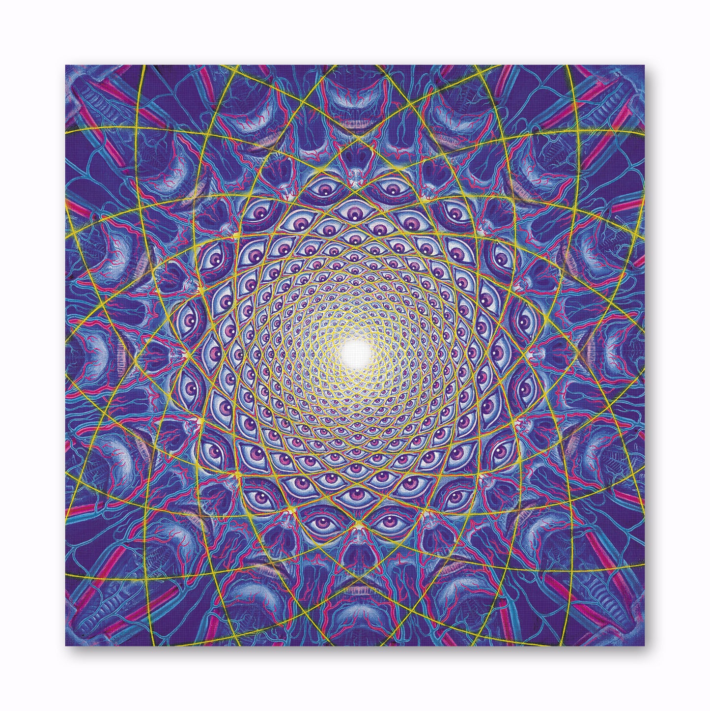 Collective Vision - Canvas Print