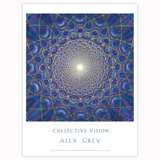 Collective Vision - Poster
