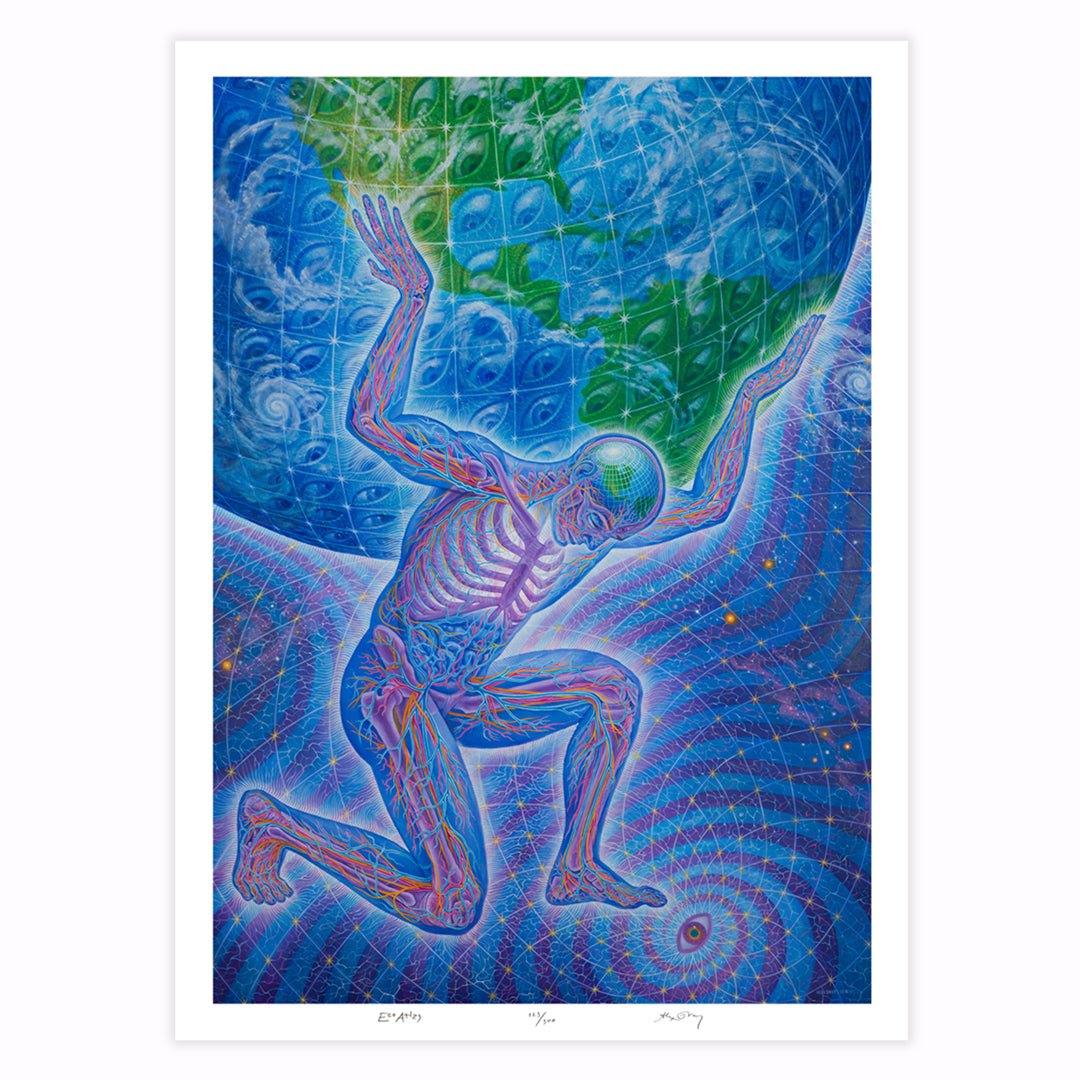 Eco Atlas - Paper Print