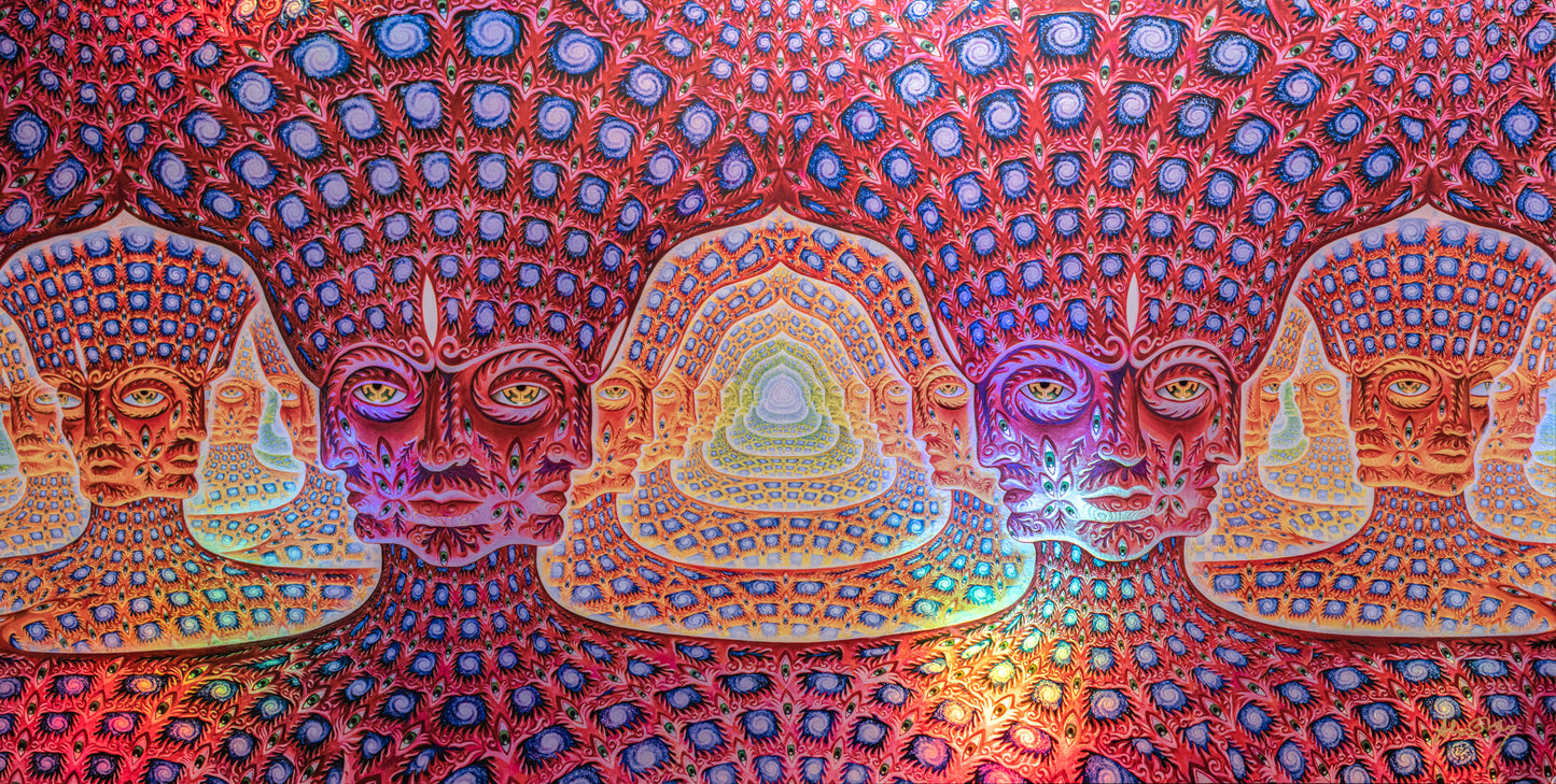 Net of Being - Holographic Screen Print