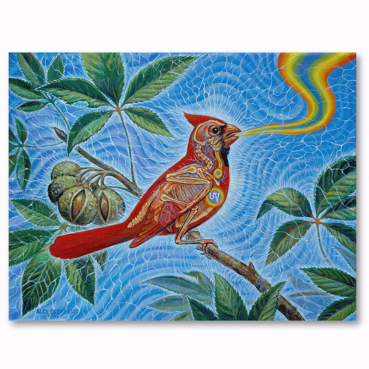 Ohio Song - Canvas Print