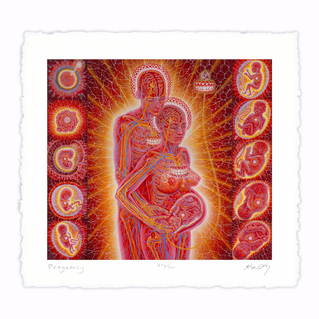 Pregnancy - Paper Print