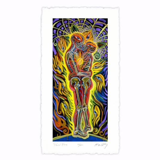 Third Force - Paper Print