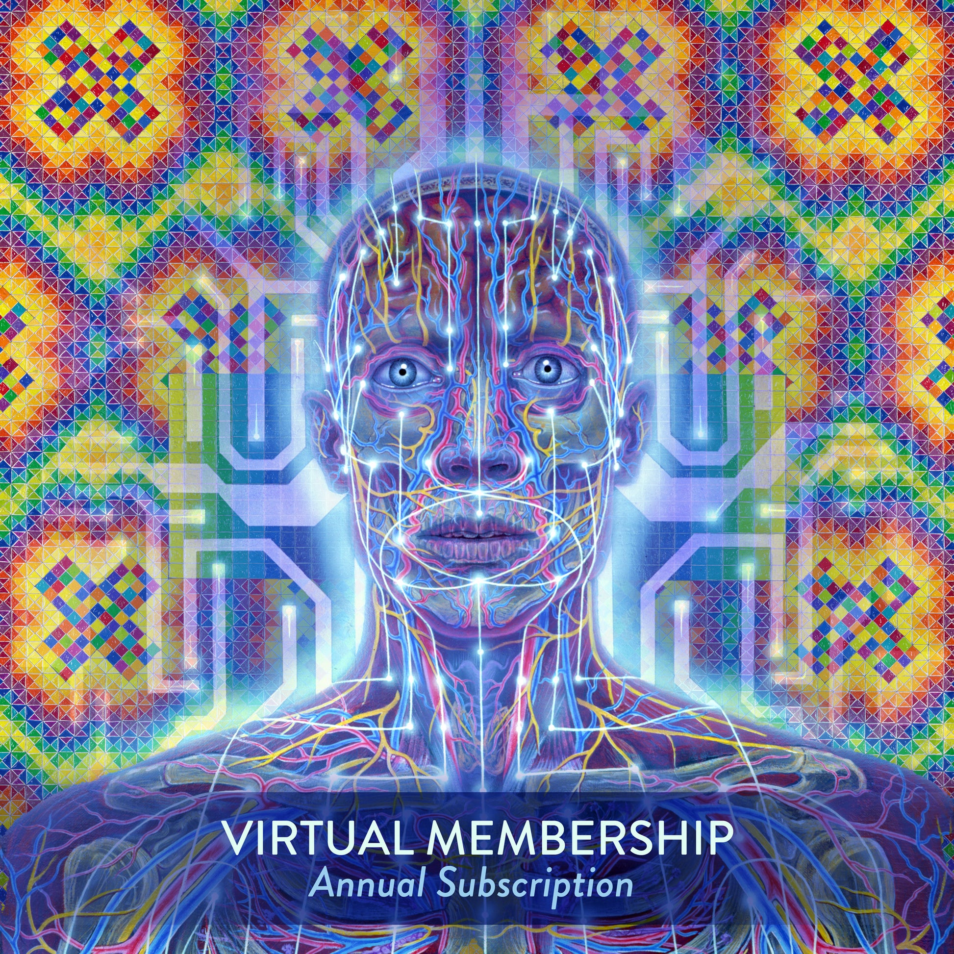 Virtual Membership Annual - Main Image