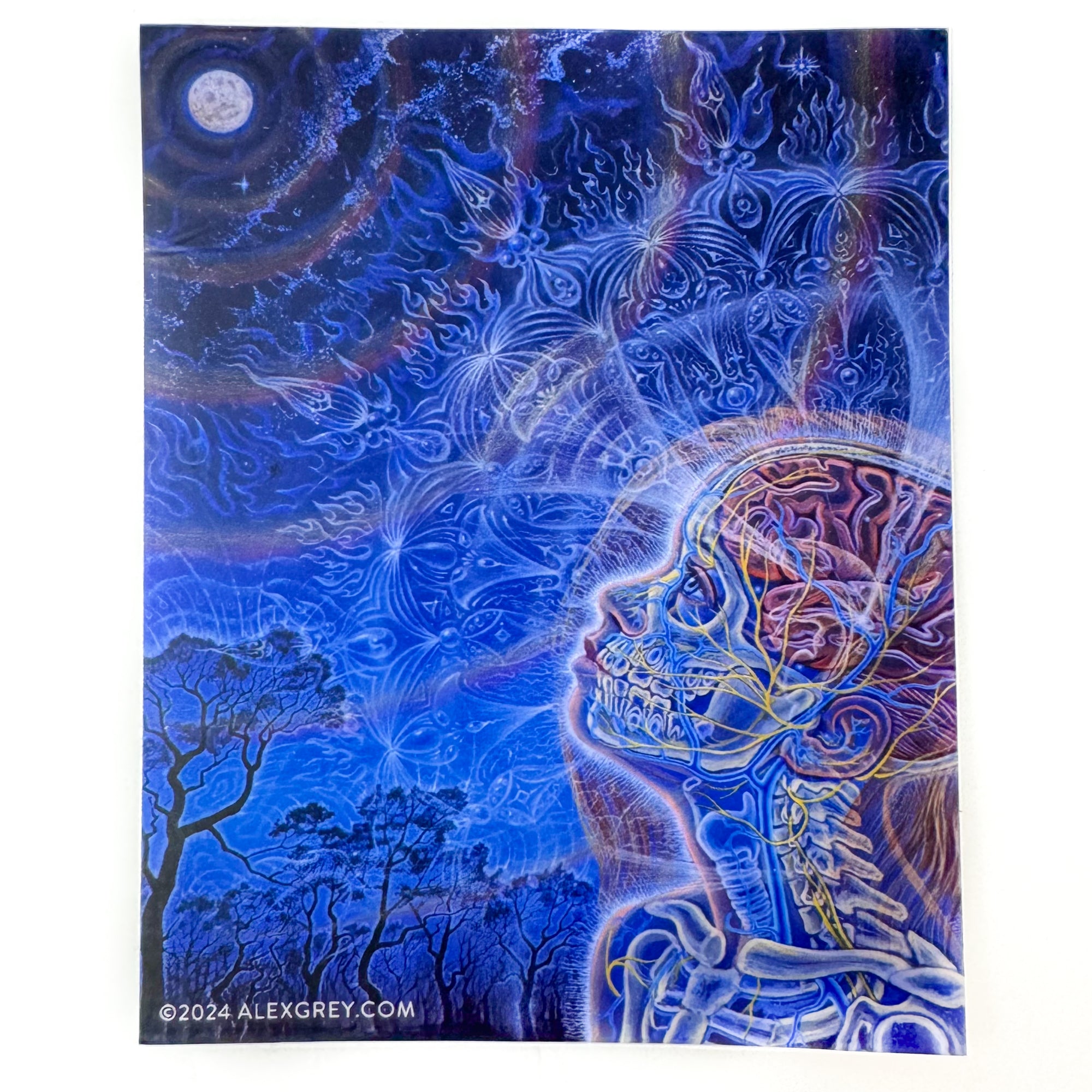 Alex Grey – Page 6 – CoSM Shop