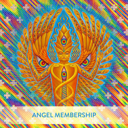 Angel Membership