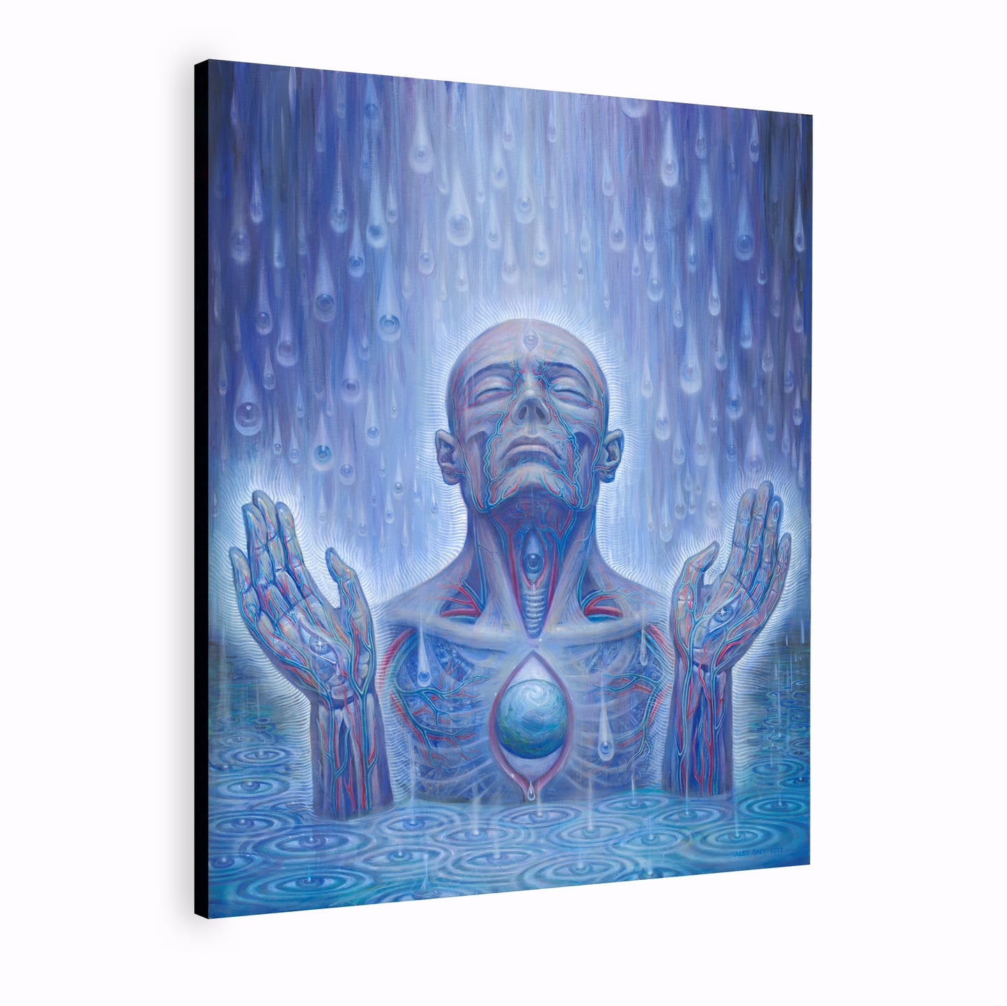 Baptism in the Ocean of Awareness - Canvas Print