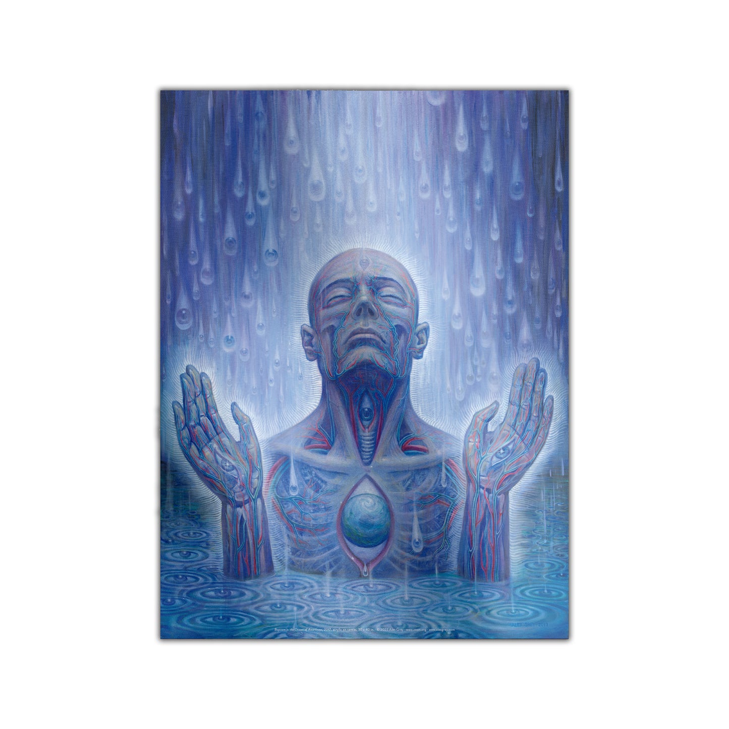 Baptism in the Ocean of Awareness - Poster