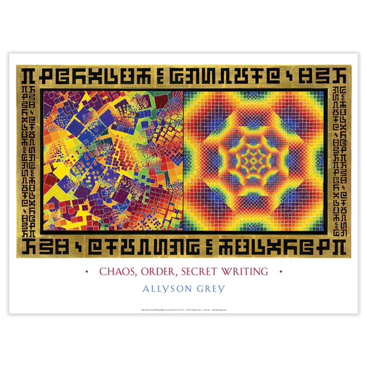 Chaos, Order & Secret Writing - Poster