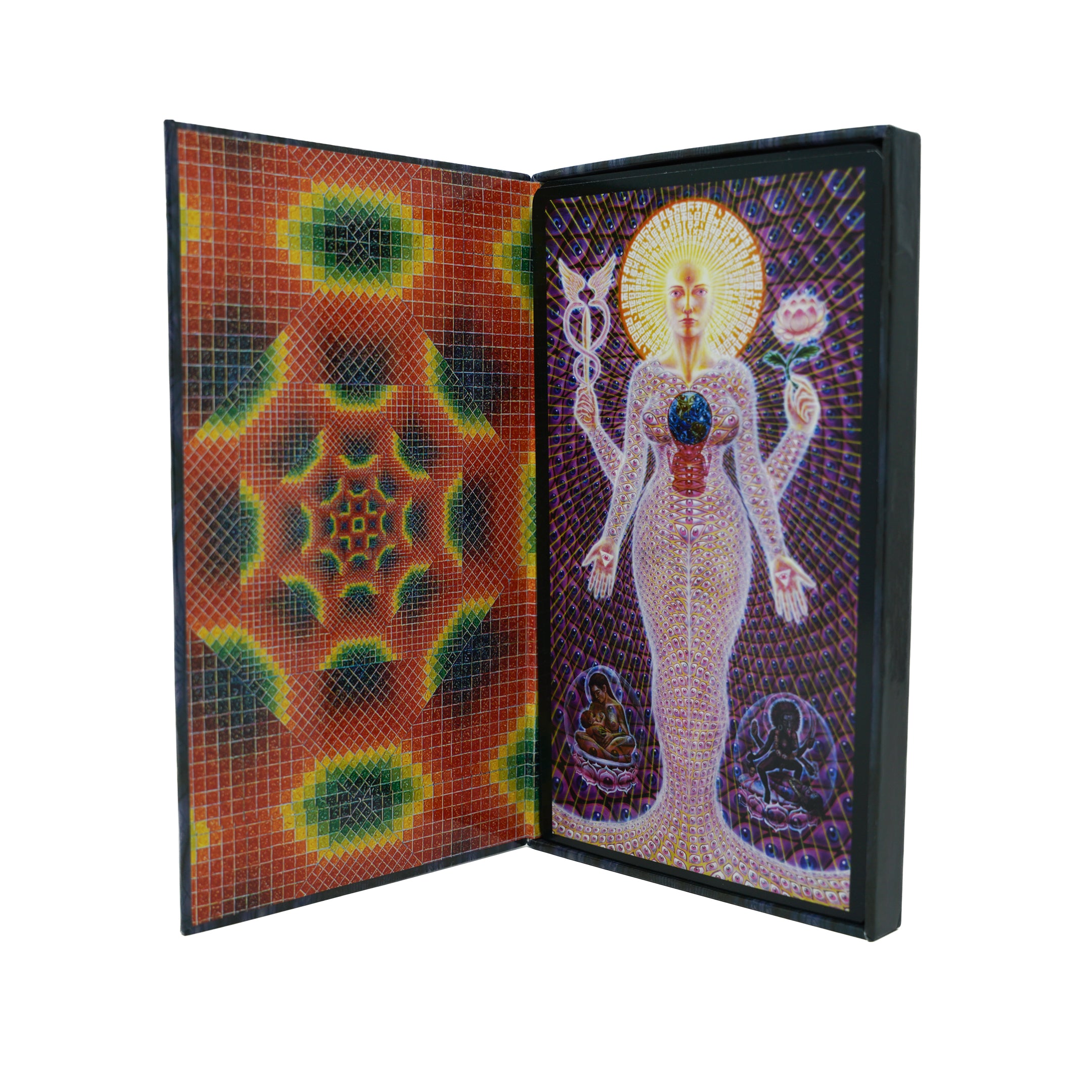 Sacred Mirrors: 聖なる鏡 Alex Grey Alex Grey | University