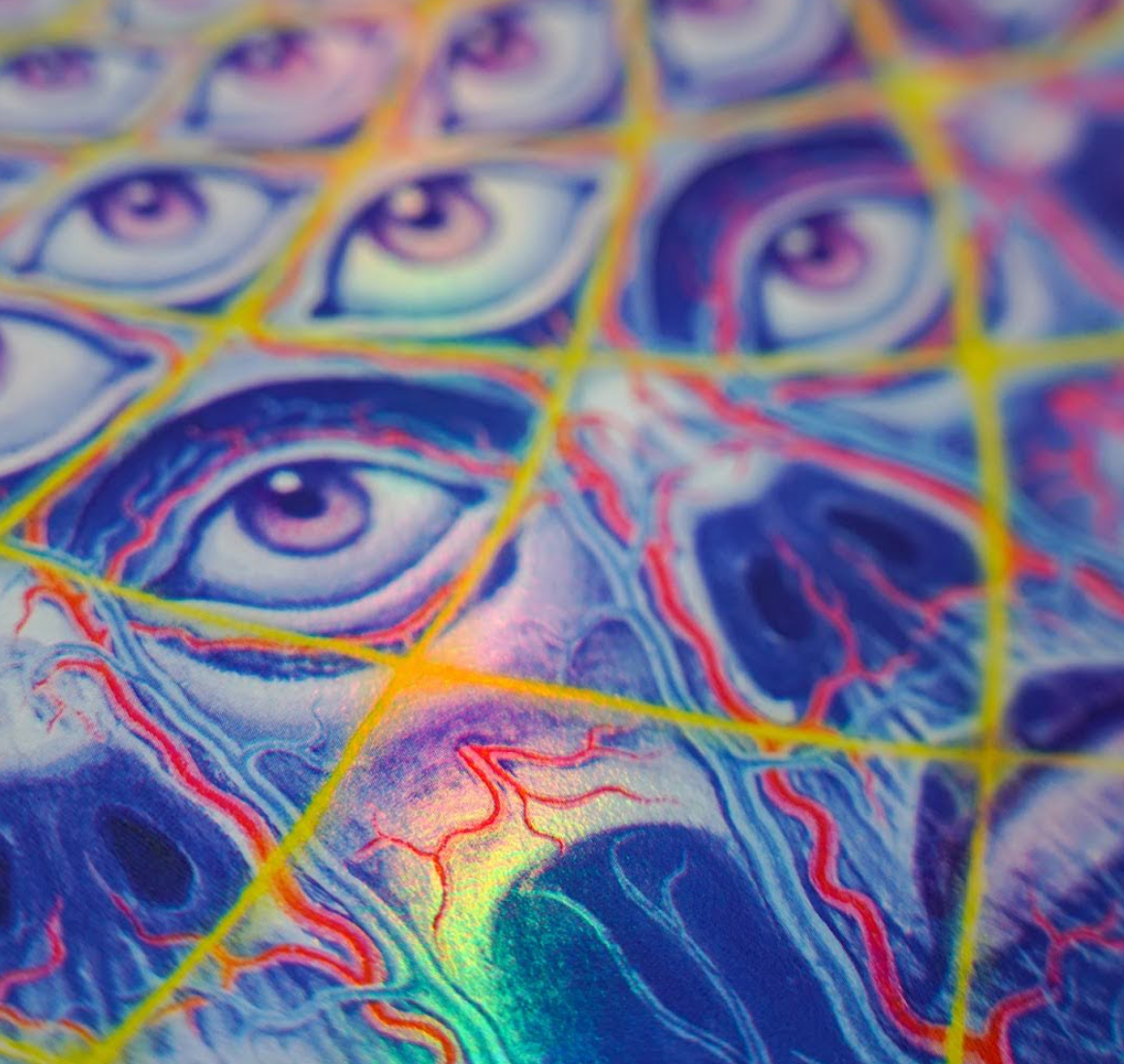 Collective Vision - Holographic Screen Print