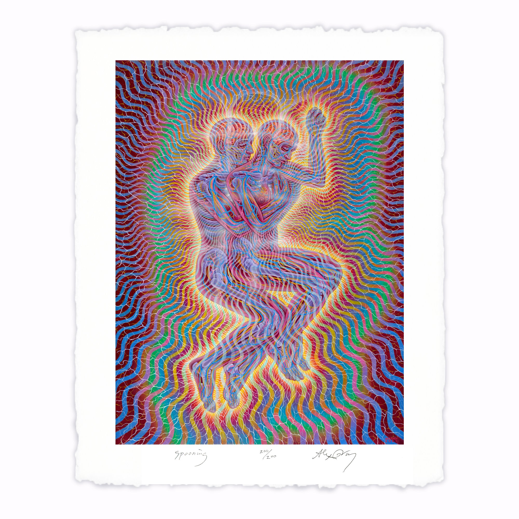 Spooning - Paper Print – CoSM Shop