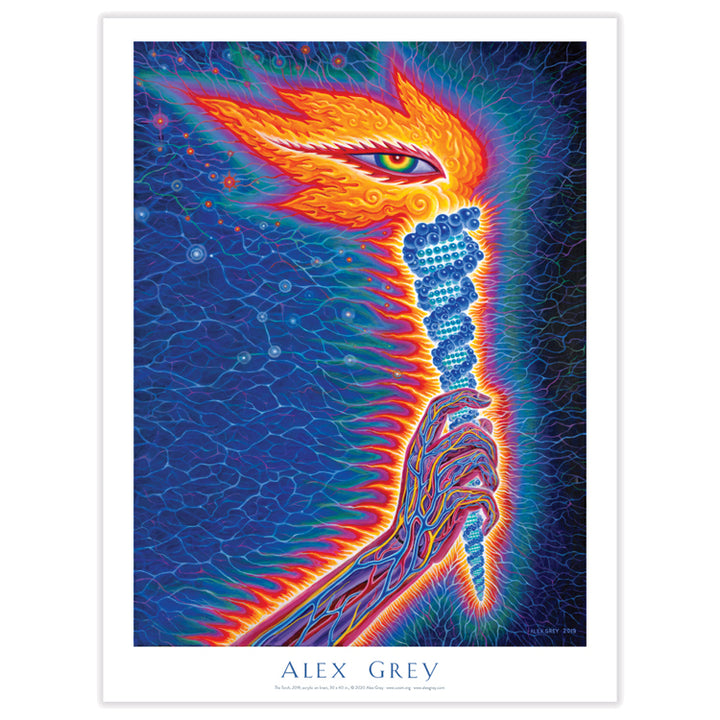 Posters – CoSM Shop