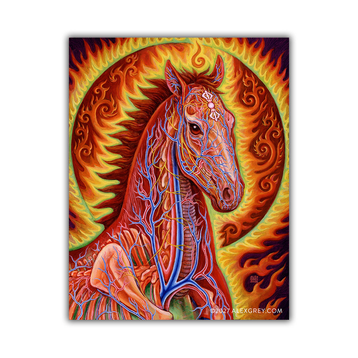 Vajra Horse - Sticker