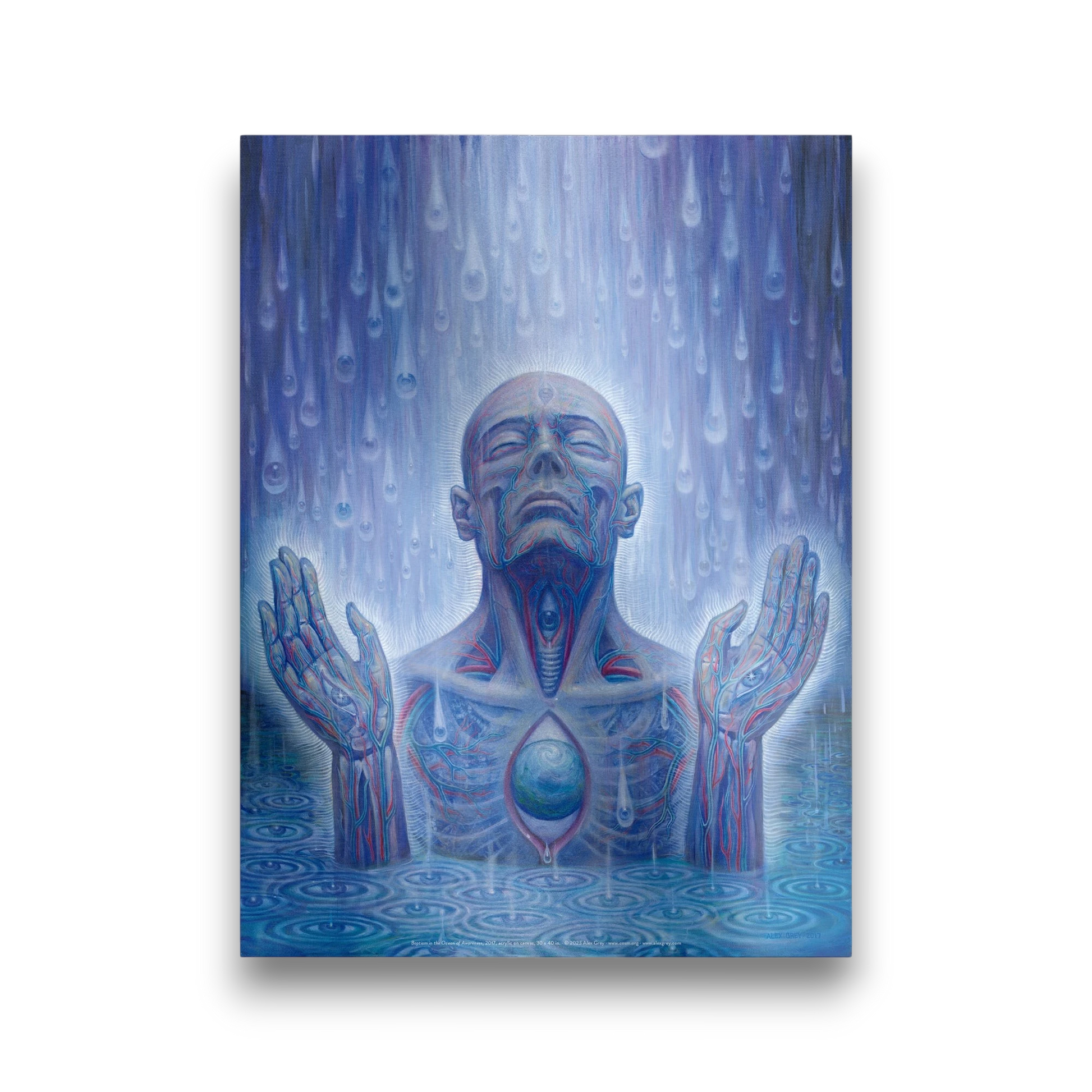 CoSM Shop Baptism in the Ocean of Awareness Alex Grey poster, depicting a man in water with eyes raining down.