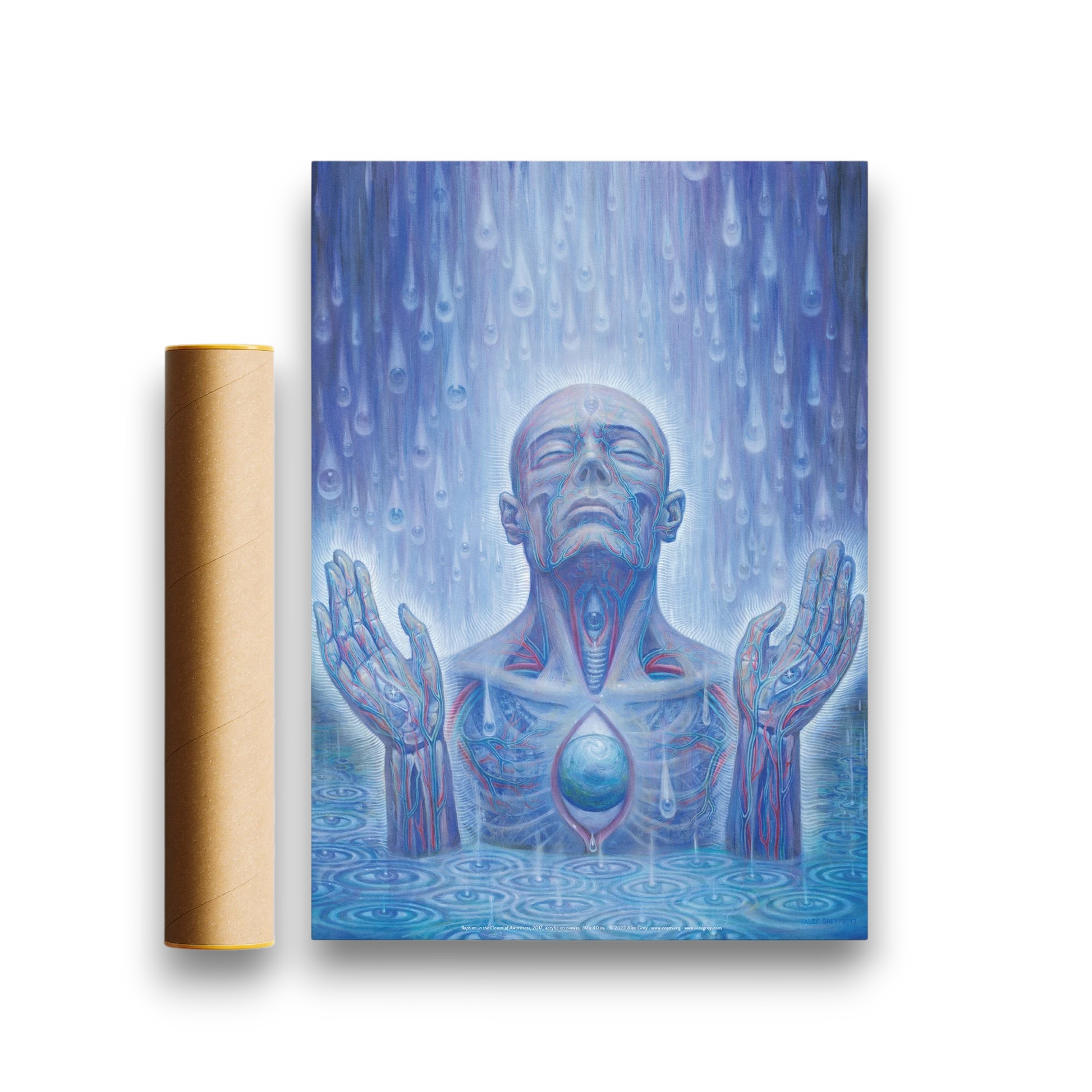 CoSM Shop Baptism in the Ocean of Awareness poster by Alex Grey, featuring a blue and red anatomical illustration of a person in water with rain falling.
