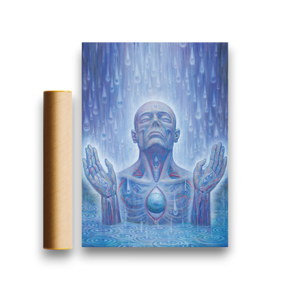 CoSM Shop Baptism in the Ocean of Awareness poster by Alex Grey, featuring a blue and red anatomical illustration of a person in water with rain falling.