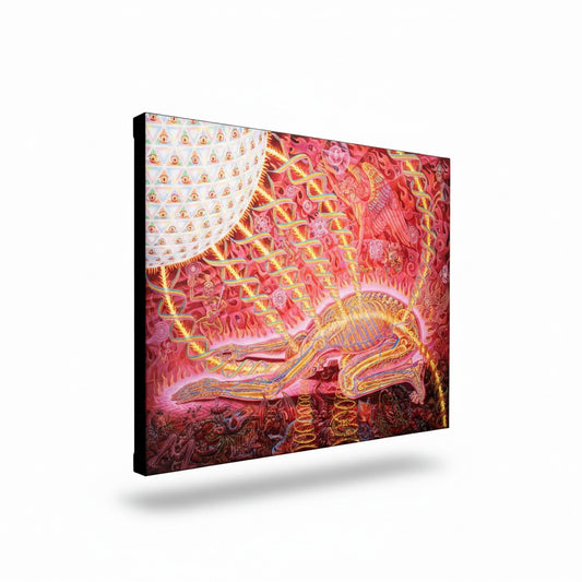 CoSM Shop Prostration canvas print by Alex Grey featuring a spiritual figure surrounded by mystical beings and light.