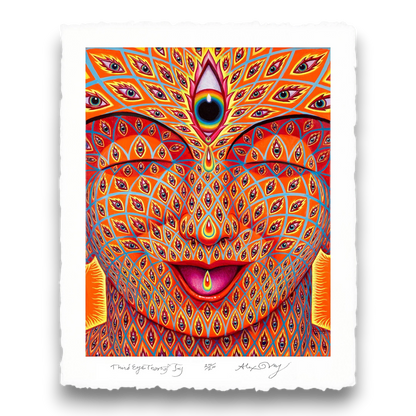 CoSM Shop Third Eye Tears of Joy paper print by Alex Grey, featuring a face covered in eyes, with a third eye at the forehead. Limited edition.
