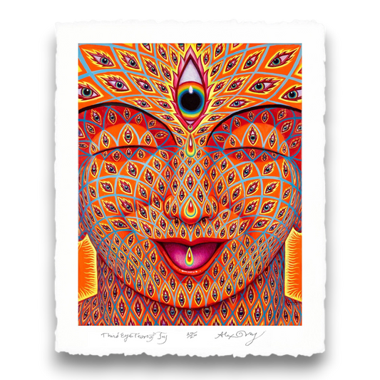 CoSM Shop Third Eye Tears of Joy paper print by Alex Grey, featuring a face covered in eyes, with a third eye at the forehead. Limited edition.