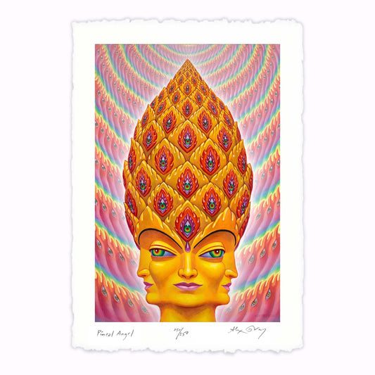 Pineal Angel - Paper Print