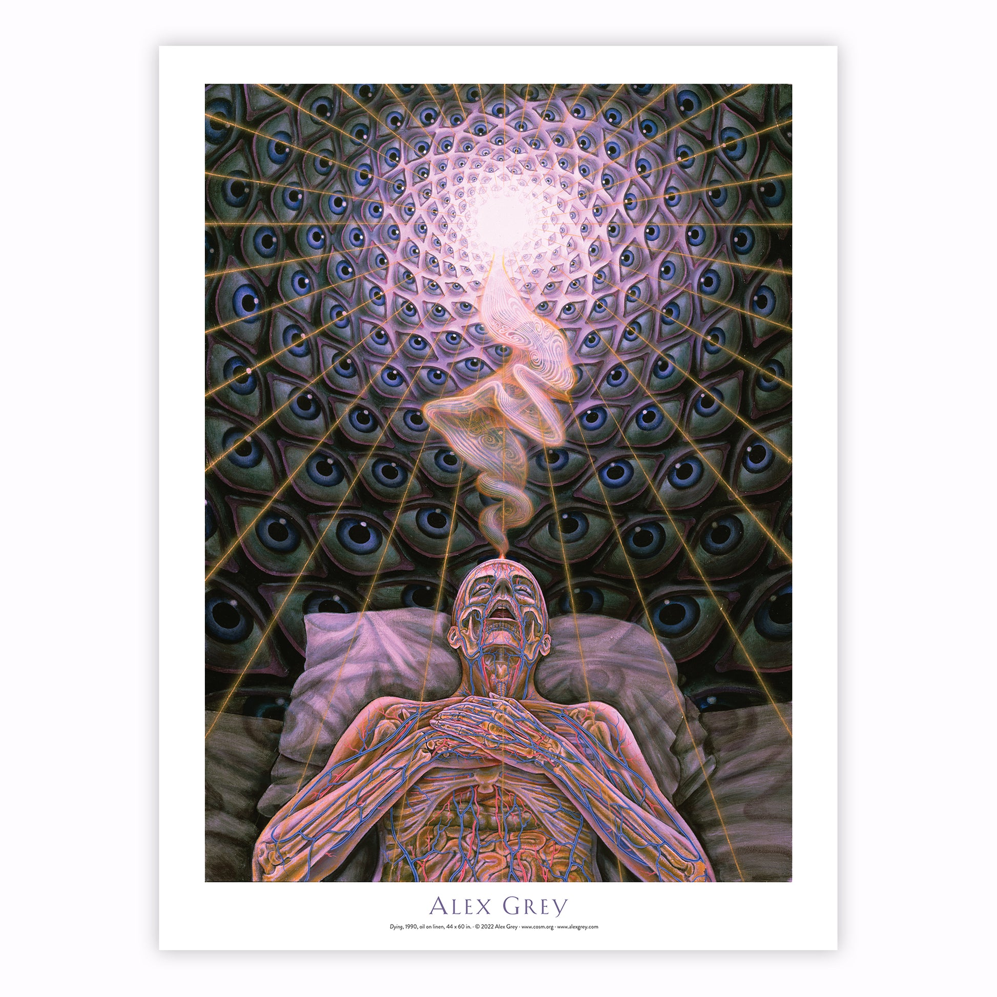 Alex Grey Art