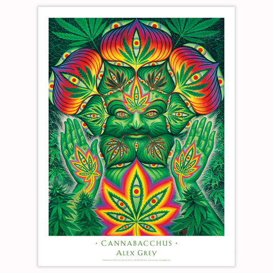 Cannabacchus - Poster