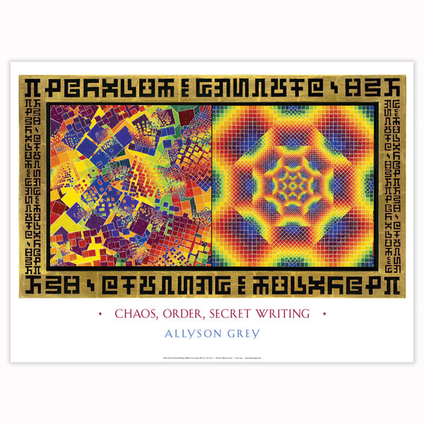 Chaos, Order & Secret Writing - Poster