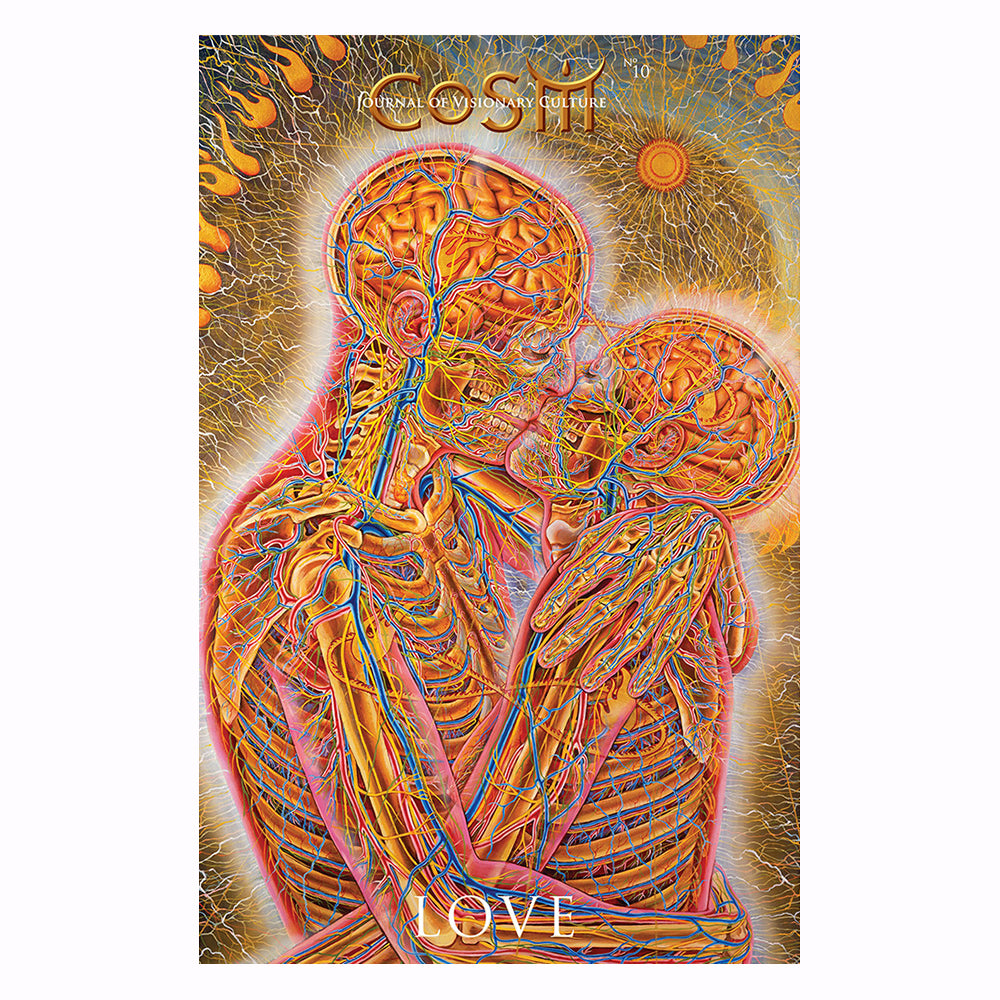 CoSM Journal 10