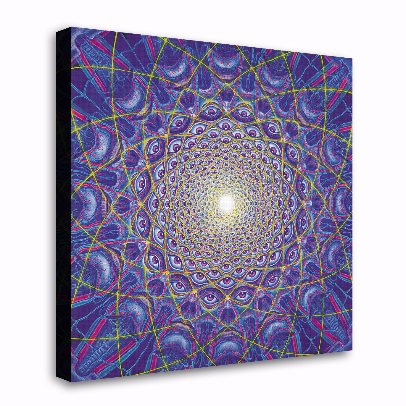 Collective Vision - Canvas Print