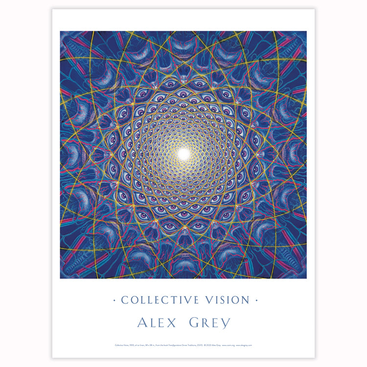 Collective Vision - Poster