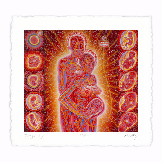Pregnancy - Paper Print